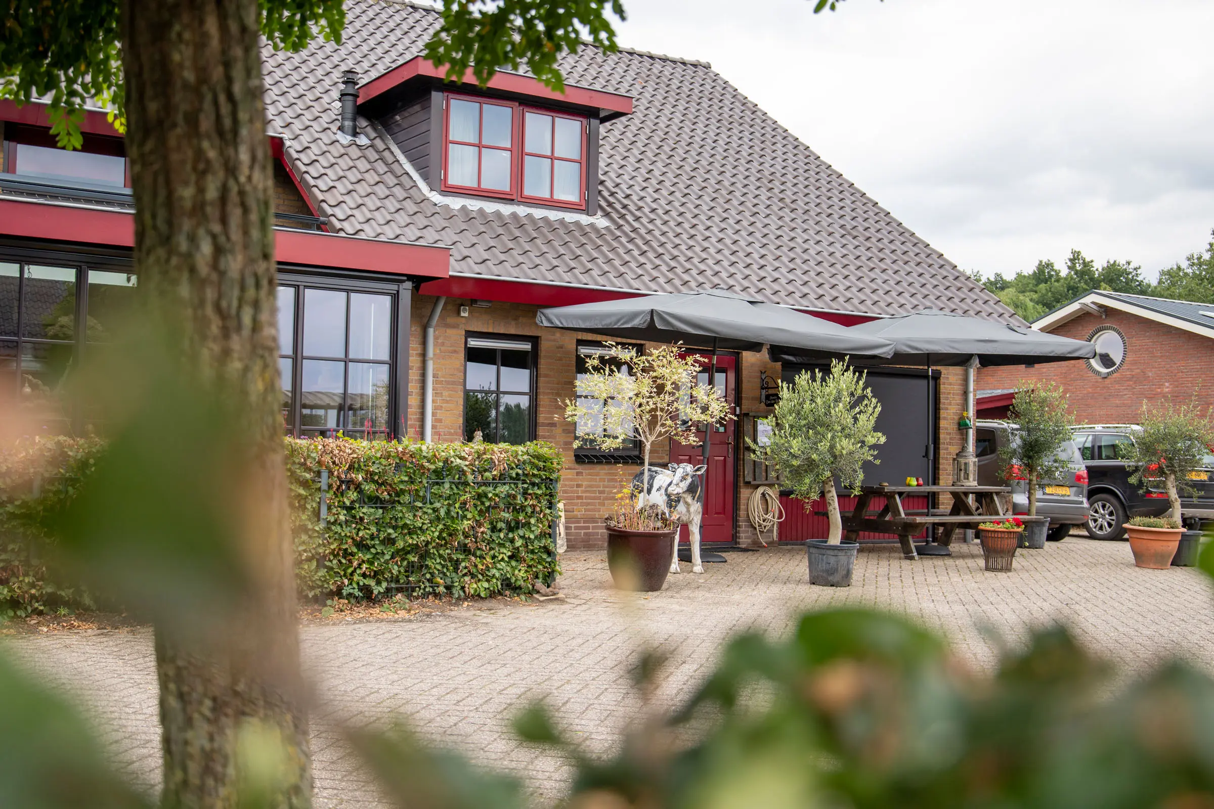 koetjes-en-kalfjes-vlees-wekerom-17